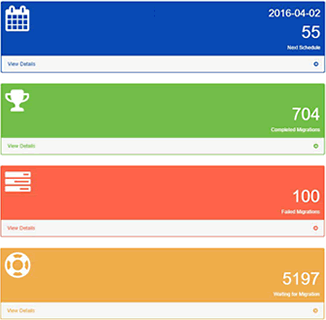 Executive Dashboard